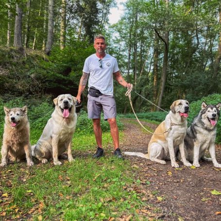 Canis Explorans