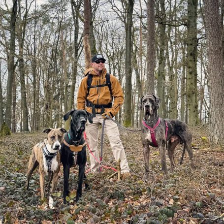 Dogwalker